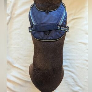 Top Paw Blue Neoprene Dog Harness